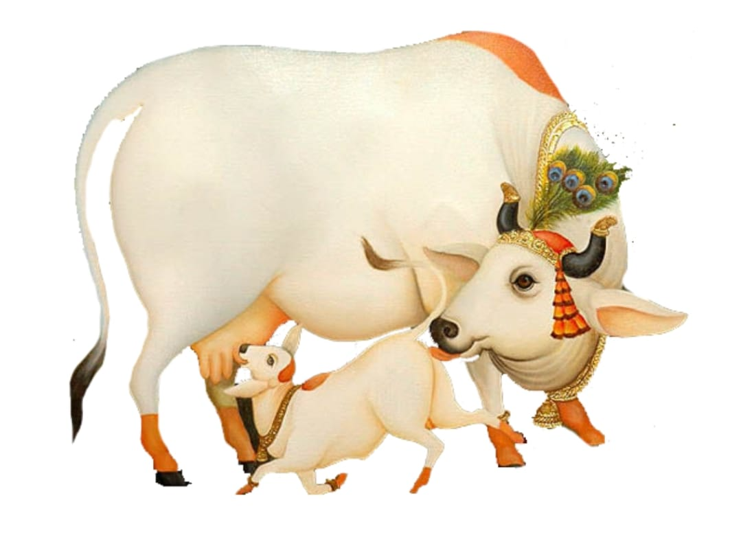 Traditional depiction of a sacred cow with her calf
